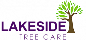 lakeside logo colour 300x138